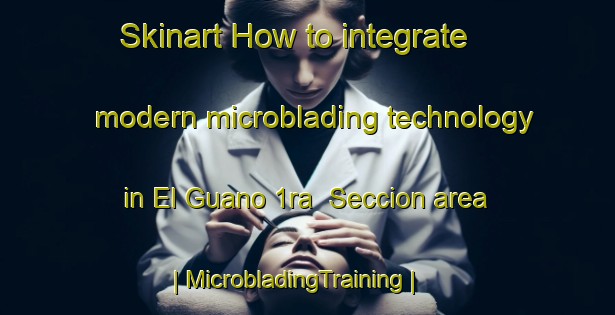Skinart How to integrate modern microblading technology in El Guano 1ra  Seccion area | MicrobladingTraining | MicrobladingClasses | SkinartTraining-Mexico